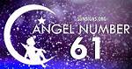 Angel Numbers Mixed Sequence 5 and 6: Material Gain ·