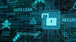 Camila Araujo | Leaks, Sensitive Data, and Security Breaches