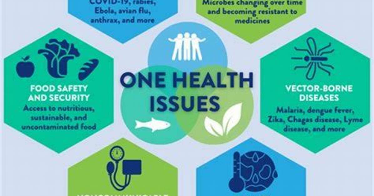Comprehensive Guide to Understanding Rick Ness Health Concerns and Remedies