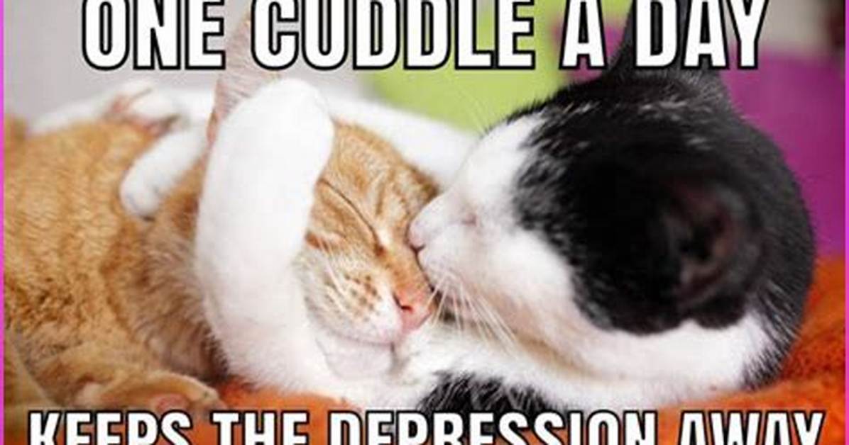 Cuddle Memes: the Ultimate Source of Cozy Vibes