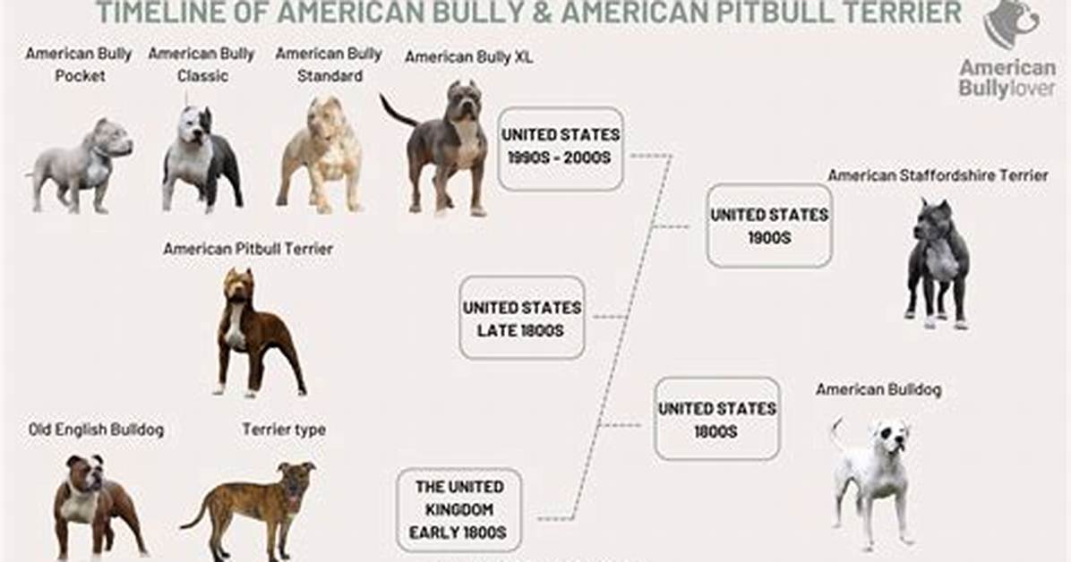 Did You Know Pitbull Is a Father of Six Children? Find out Where and What They Are Doing Now ·