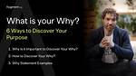 Discover the Why, the Impact, and the Solutions