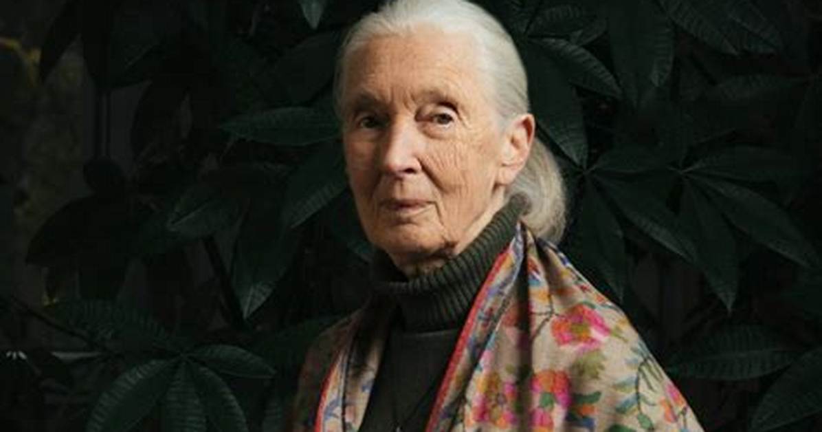 Discovering the Life and Legacy of Gentle Hayes