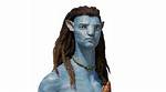 Discovering the World of Avatar Dad