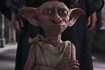 Dobby: the Unexpected Hero of Middle-Earth