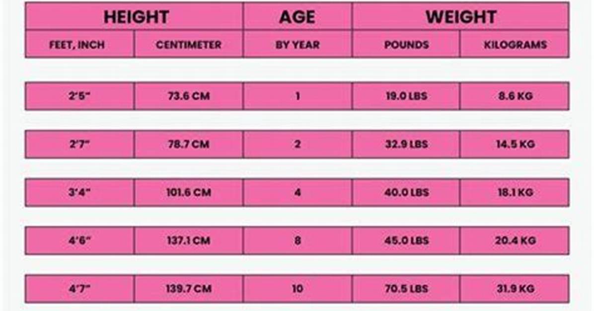 Exploring Height, Weight, Net Worth, and the Journey of Age