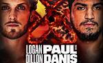 Exploring the Alleged "Dillon Danis Logan Paul Wife Leaked Video"