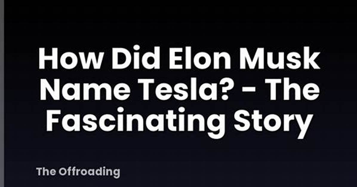 Exploring the Fascinating World of Elon Musk's Boat