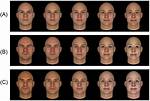 Exploring the Fascination of Face Evaluation with Prettyscale. Com