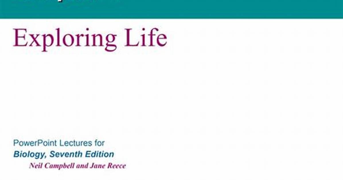 Exploring the Life and Legacy of Jihn Nettles