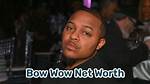 How Bow Wow's Various Business Ventures Netted Him a Nearly $2M Net Worth ·