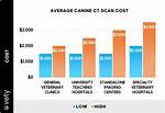 How Much Does a Dog Ct Scan Cost?