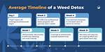 I Smoked Weed Daily for 12 Year's. I Quit Cold Turkey When I Realized It Was Standing Between Me And