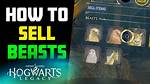 Is It Bad to Sell Beasts in Hogwarts Legacy?