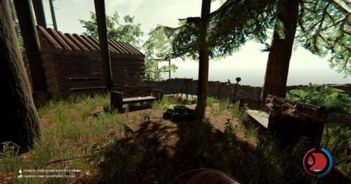 Is the Forest Ever Coming to Xbox?
