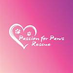 Nancy Aybar: a Life of Passion and Purpose