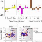 Neural Phase Locking Predicts Bold Response in Human Auditory Cortex - ePrints