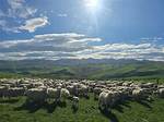New Zealand's Mori Women Have More to Contend with Than Ordinary Sexism | Tina Ngata
