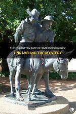 Pary Simpson: Unraveling the Mystery of His Net Worth
