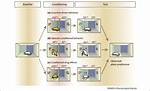 The Conditioned Place Preference Test for Assessing Welfare Consequences and Potential Refinements in a Mouse Bladder Cancer Model - ePrints