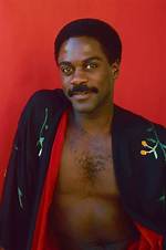 **The Life and Legacy of Harold Rollins: a Journey Through Art and Activism**