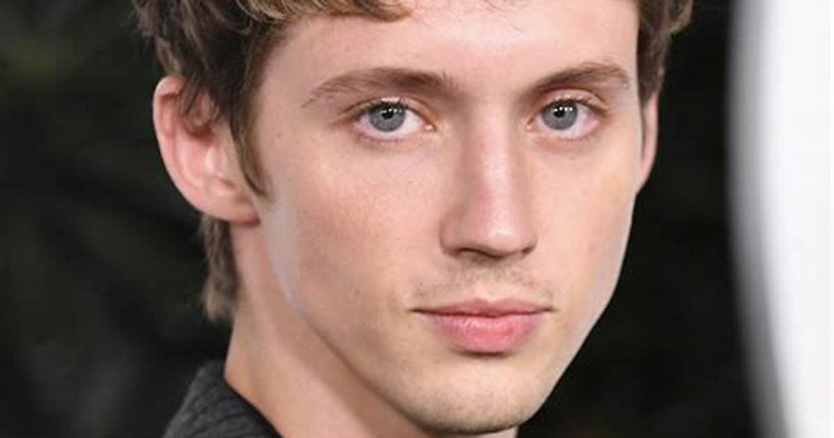 The Truth About Troye Sivan Sexuality and His Boyfriend