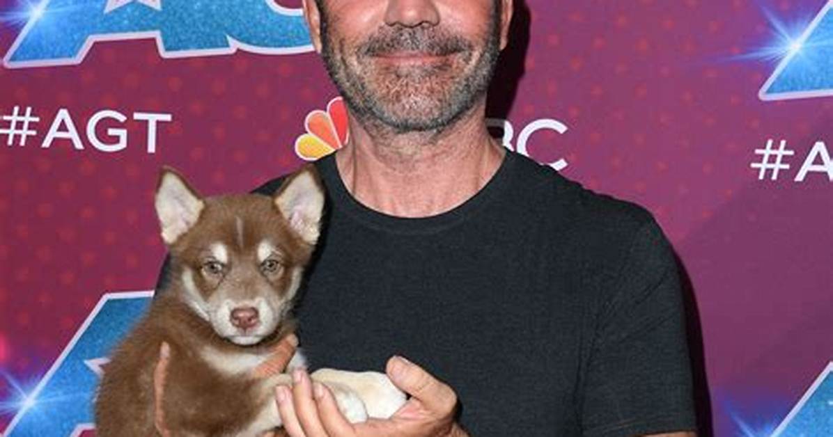 The Ultimate Guide to Simon Cowell's Partner