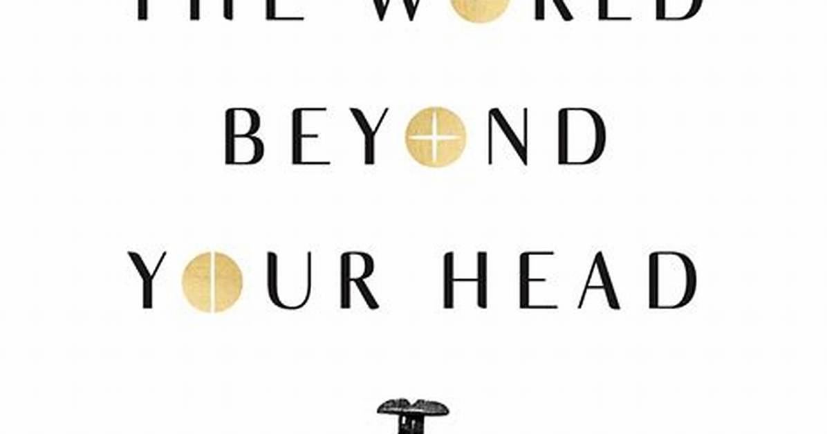 The World Beyond Your Head Review Philosophical Inquiry That Demands Your Attention