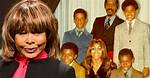 Tina Turner's Legacy and Family Ties Revealed
