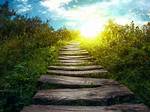 Uncover the Path to a Brighter Future