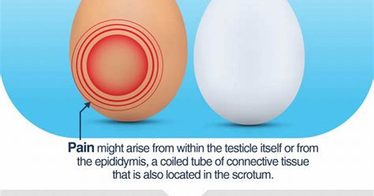 Understanding the Chill: Why Are My Testicles Cold?
