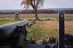 Unearthing the Legacy of Frank Buck: Gettysburg's Wildlife Pioneer