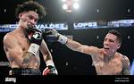 Unlock the Secrets of Adam Lopez Boxing: Discoveries and Insights
