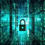 Unlock the Secrets of Privacy and Unbiased Search with Ddg Net Work