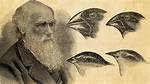 Unraveling the Genius of Charles Darwin: Discoveries That Transformed Biology