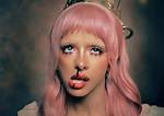 Unraveling the Meaning Behind Melanie Martinez's Notebook