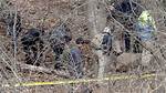 Unraveling the Mystery of "Lily Peters Case"