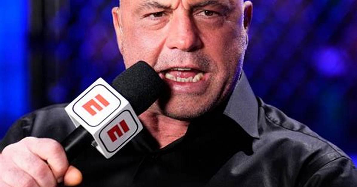 Unraveling the Mystery: Was Joe Rogan's Wife on Fear Factor?