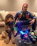 Unveiling the Life of Snoop Dog's Wife: a Journey Beyond Fame