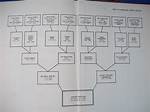 Unveiling the Roots: Robert Lewandowski Family Tree