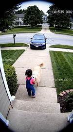 Watch the Heartwarming Cctv Footage of a Kid and His Mom [Full Video on Youtube]