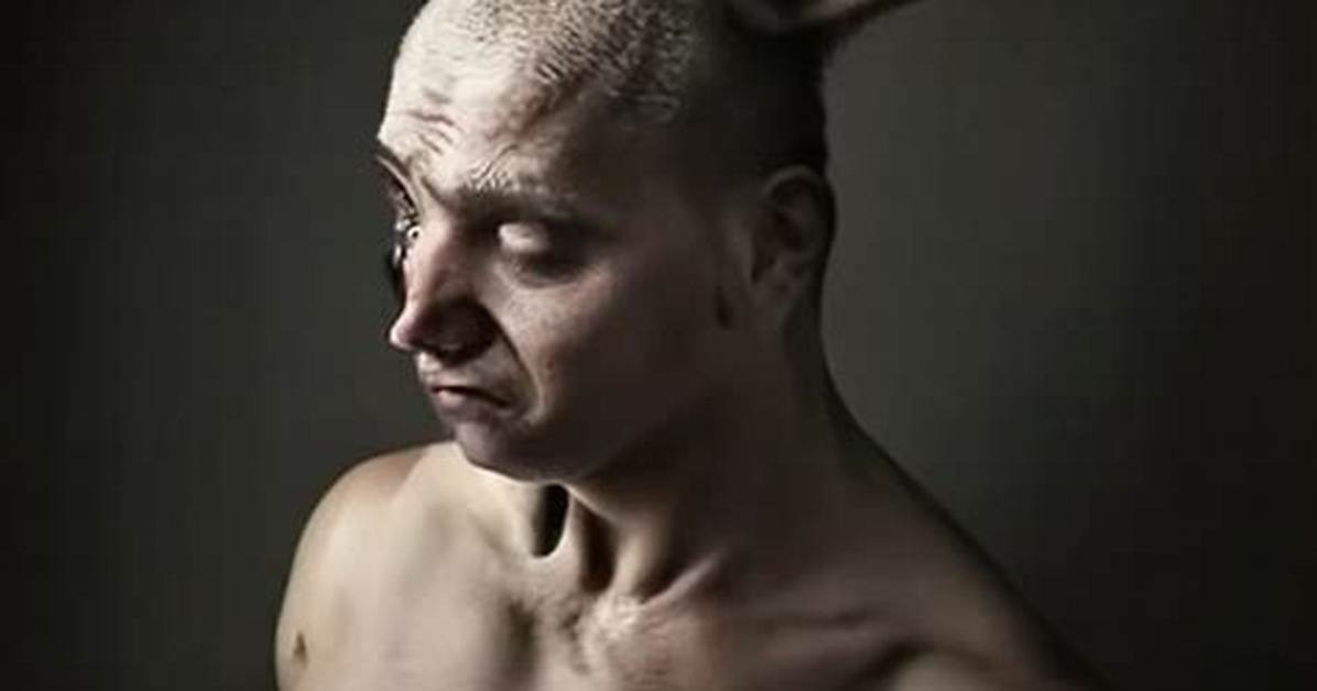 What Is a Half Human Half Rabbit Called? Celebrity. Fm #1 Official Stars, Business & People N