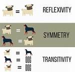 What Is Stimulus Equivalence Aba?