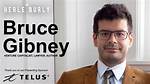 Zenblog | Bruce Venture